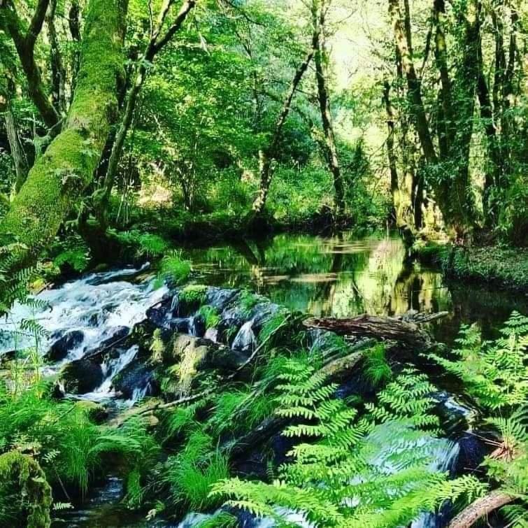 A Cantaruxa Maruxa Turismo Rural Mondariz Exteriör bild