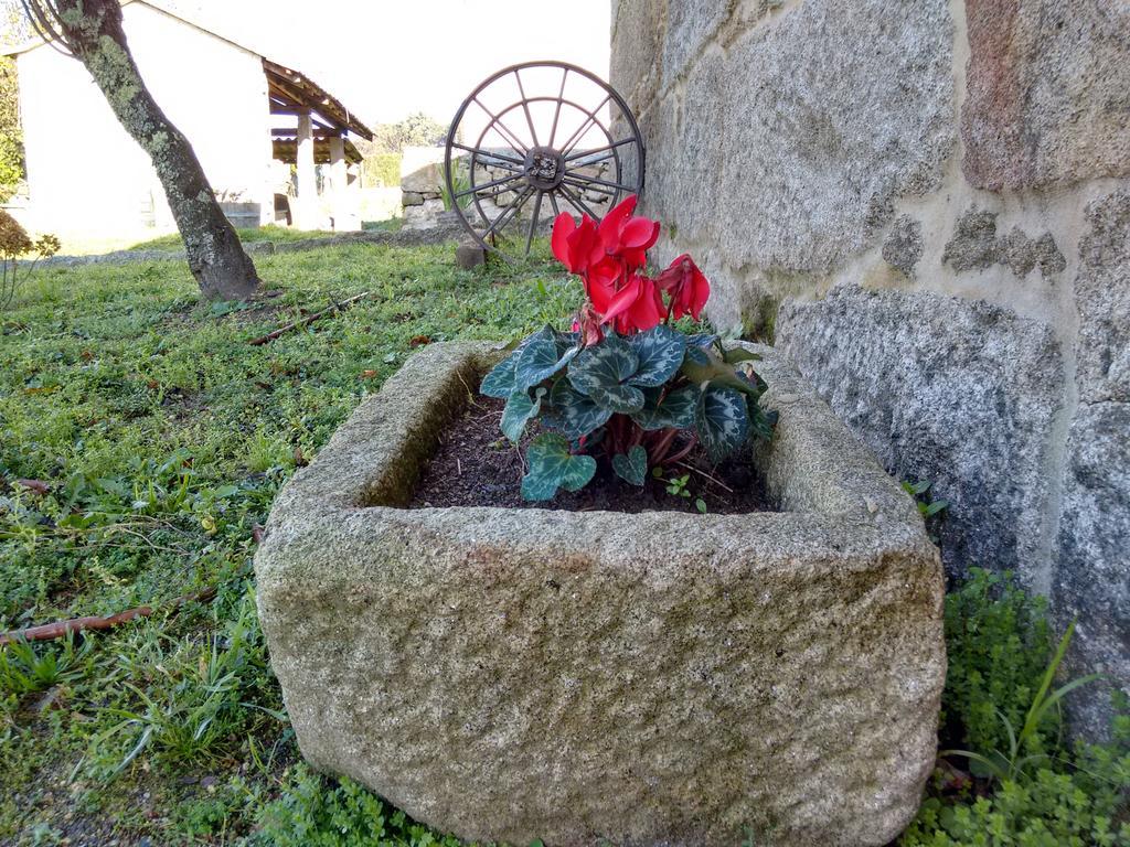 A Cantaruxa Maruxa Turismo Rural Mondariz Exteriör bild